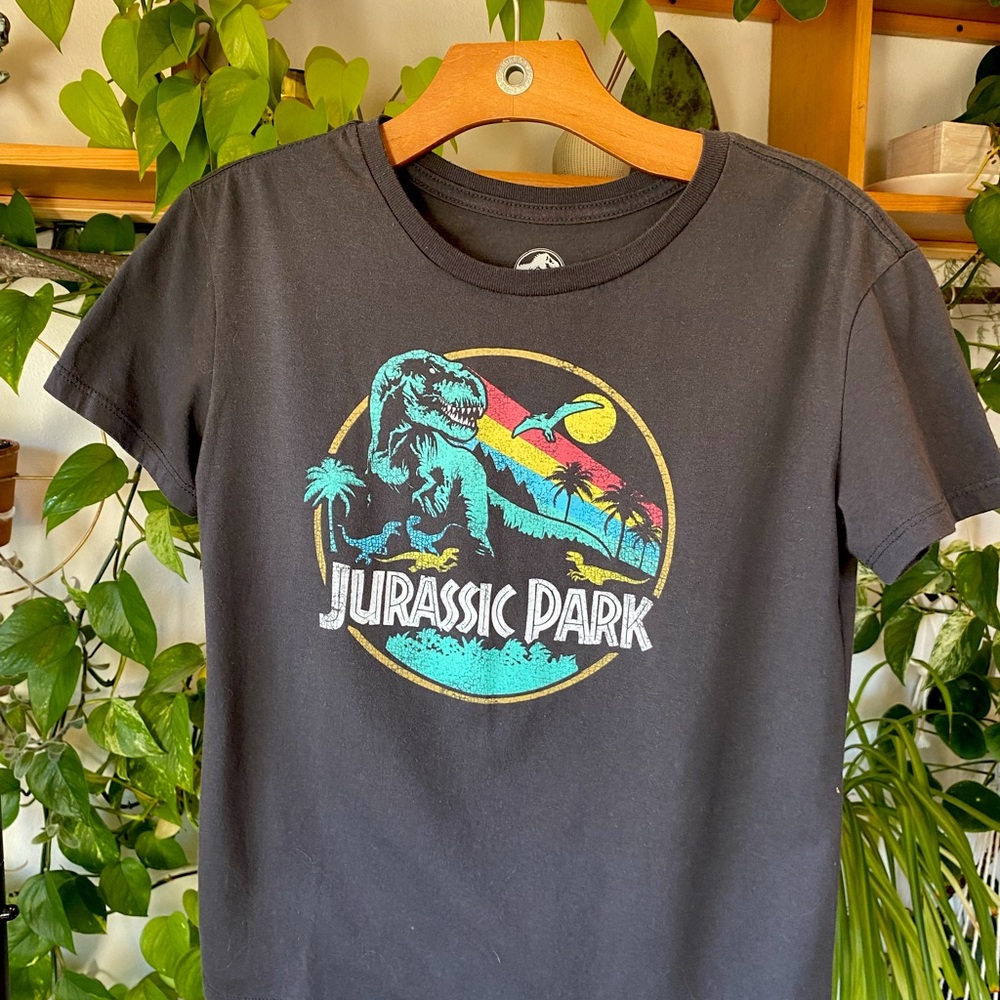 Original 90’s Vintage Jurassic Park Tee!